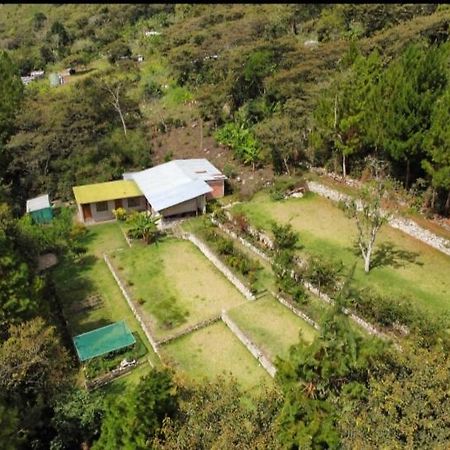 Lucmabamba Lodge Santa Teresa  Buitenkant foto