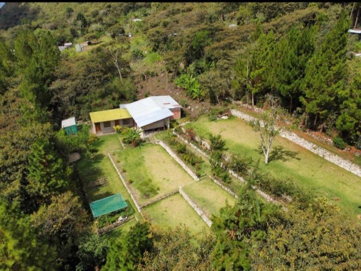 Lucmabamba Lodge Santa Teresa  Buitenkant foto