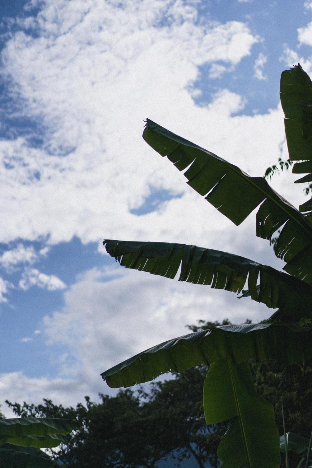 Lucmabamba Lodge Santa Teresa  Buitenkant foto