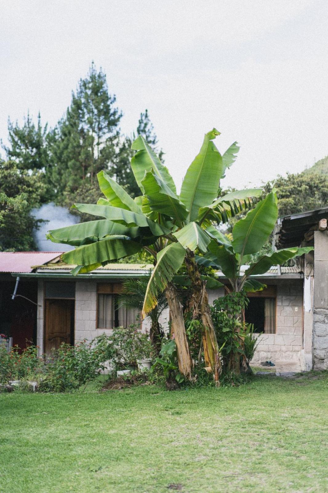 Lucmabamba Lodge Santa Teresa  Buitenkant foto