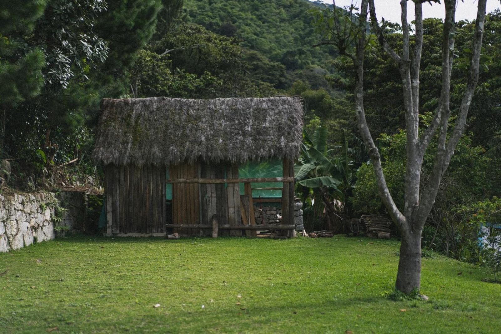 Lucmabamba Lodge Santa Teresa  Buitenkant foto