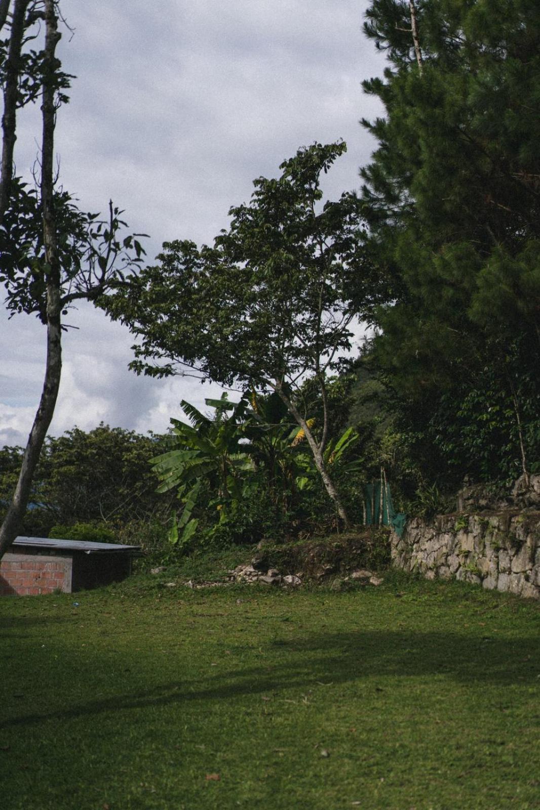 Lucmabamba Lodge Santa Teresa  Buitenkant foto