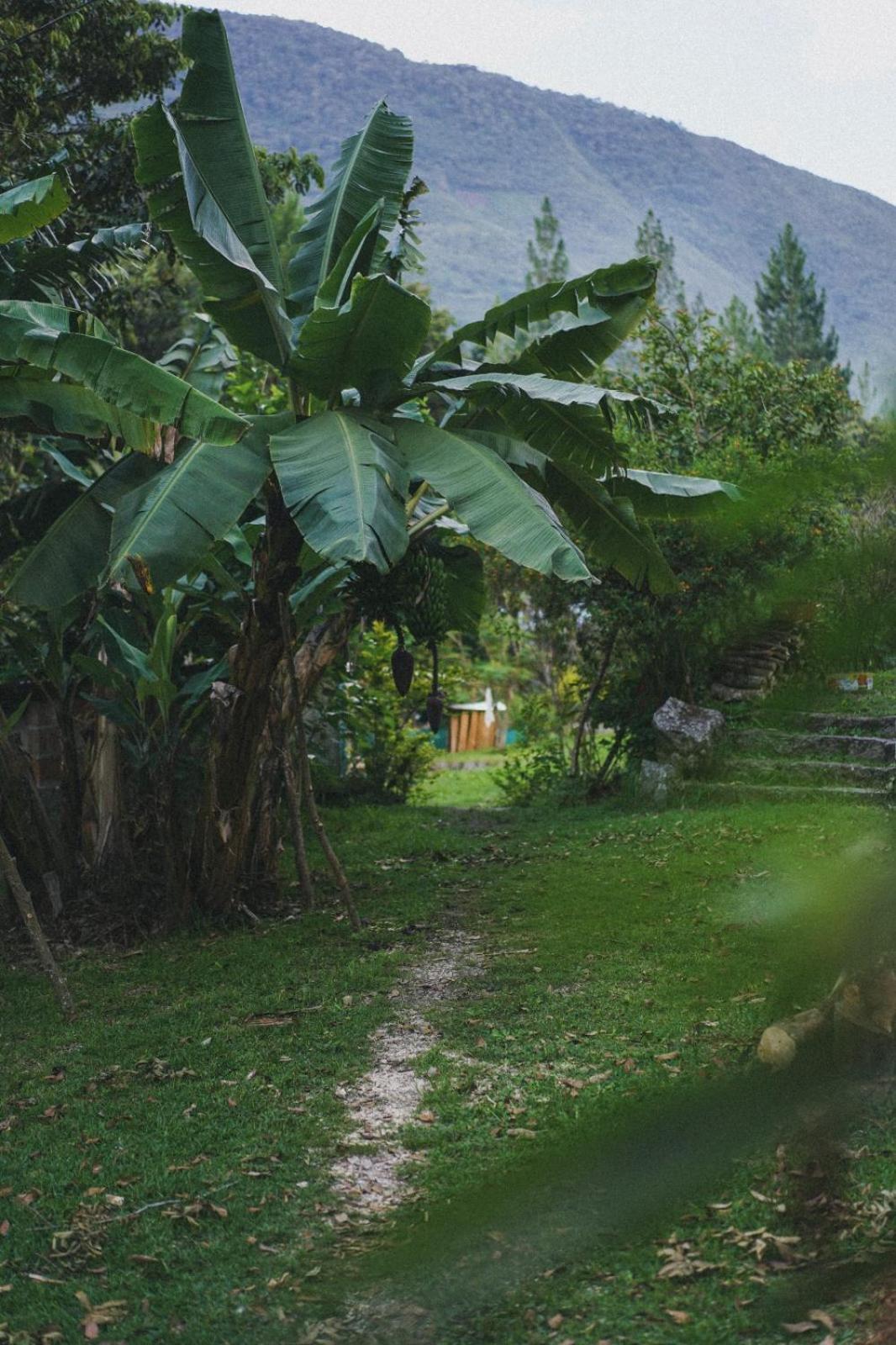 Lucmabamba Lodge Santa Teresa  Buitenkant foto